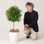 The Way of Nagomi