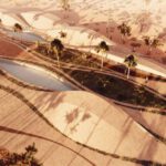 Dunes Studio Symbiosis