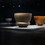 Evolution - Stefanie Hering