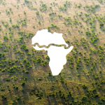 Great Green Wall