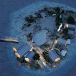 rat island