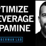 Huberman Lab