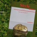 The Stylemate - was ist es wert?
