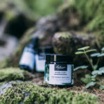 Waldmeister